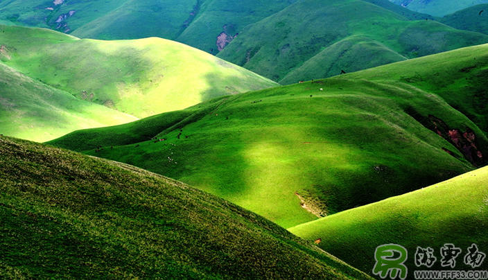 雲南會澤大海草(cǎo)山(shān)